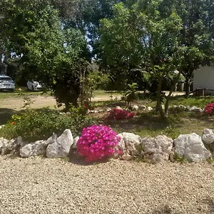  Ferienhaus Nature
